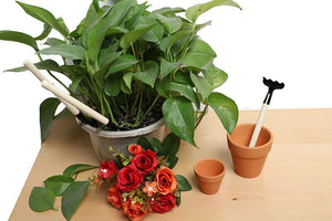 Plants Cultivation Tools